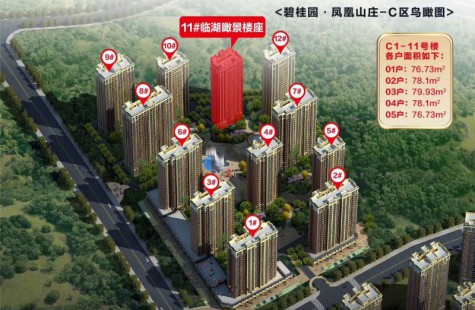 碧桂园·凤凰山庄